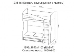 ДМ-16 Кровать двухъярусная с ящиком в Серове - serov.magazin-mebel74.ru | фото