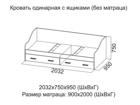 Кровать одинарная с ящиками (Без матраца 0,9*2,0) в Серове - serov.magazin-mebel74.ru | фото