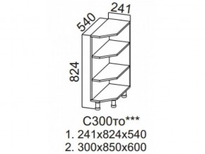 С300то Стол-рабочий 300 (торцевой открытый) в Серове - serov.magazin-mebel74.ru | фото