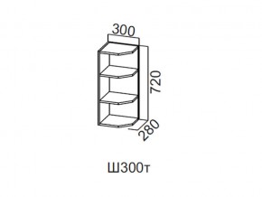 Ш300т/720 Шкаф навесной 300/720 (торцевой) в Серове - serov.magazin-mebel74.ru | фото