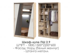 шкаф-купе ПШ-2.9 1500 Норд Белый жемчуг 1500 в Серове - serov.magazin-mebel74.ru | фото